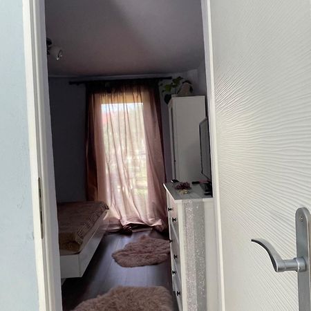 Garsoniera La Casa Daire Temeşvar Dış mekan fotoğraf